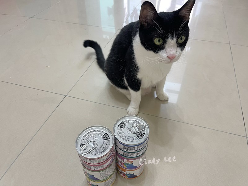 女人知己試用大隊,口碑行銷,部落客行銷,PURRFACT 波菲特貓用主食罐,主食罐,PURRFACT波菲特,貓主食罐,貓罐,PURRFACT波菲特貓用主食罐,魚肉蔓越莓主食罐,鮮嫩雞主食罐,鹿肉雞肉主食罐,牛肉鵪鶉貓主食罐,干貝蠶蛹配方,鱷魚肉白木耳配方,雞肉魚肉配方,安心鶉配方,評價,體驗,適口性佳,心得,成貓適用,高齡貓適用,質地是慕絲狀